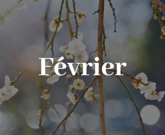 Travaux paysagers en Deux-Sèvres