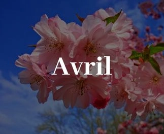 arbres fruitiers, agrumes et légumes dans le 79